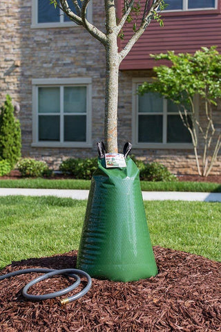 TreeGator Original bags around tree base demonstrate steady moisture delivery.