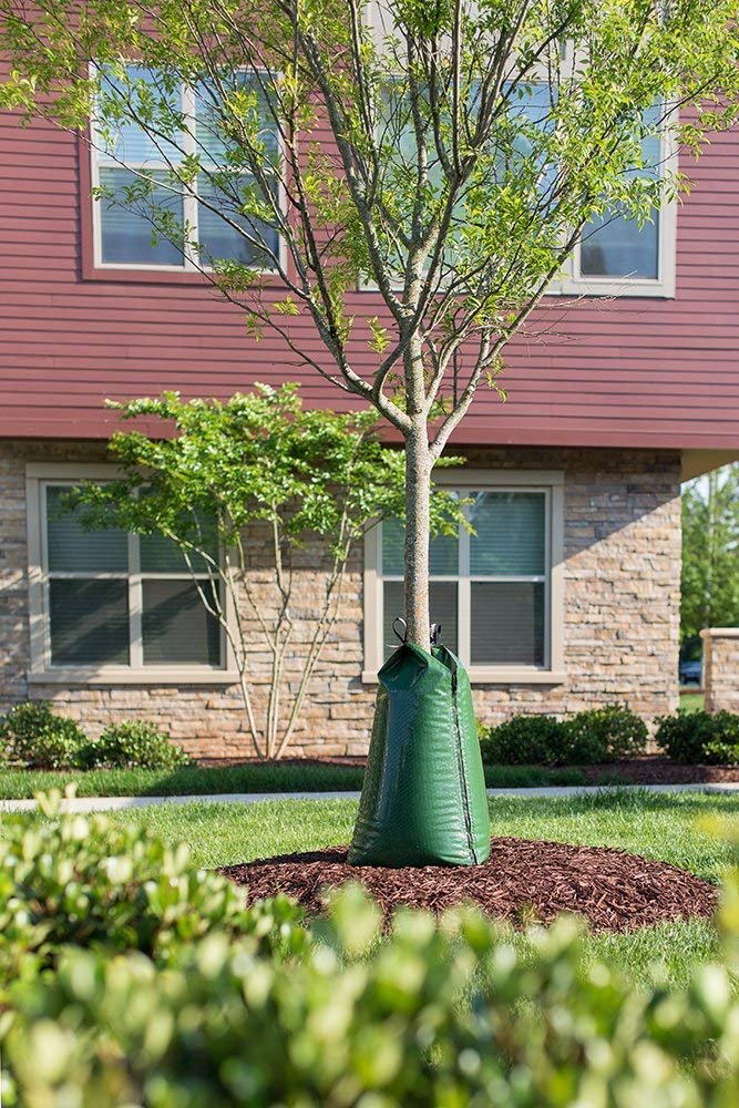TreeGator Original bags side view highlights efficient drip irrigation for trees.