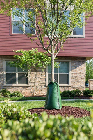 TreeGator Original bags side view highlights efficient drip irrigation for trees.