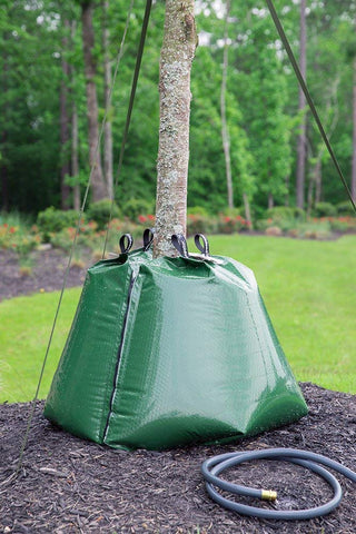 TreeGator Original two-pack packaging illustrates ready-to-use tree watering solution.