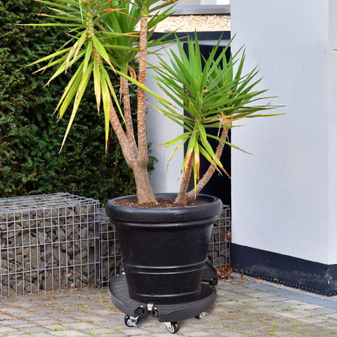 TreeGun wheels with locks prevent plant sliding during adjustments.