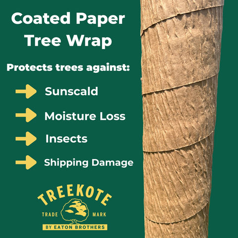 Treekote breathable material closeup emphasizing airflow around wrapped trunk