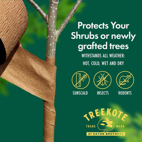 Treekote sun protection image highlighting shade and heat reflection