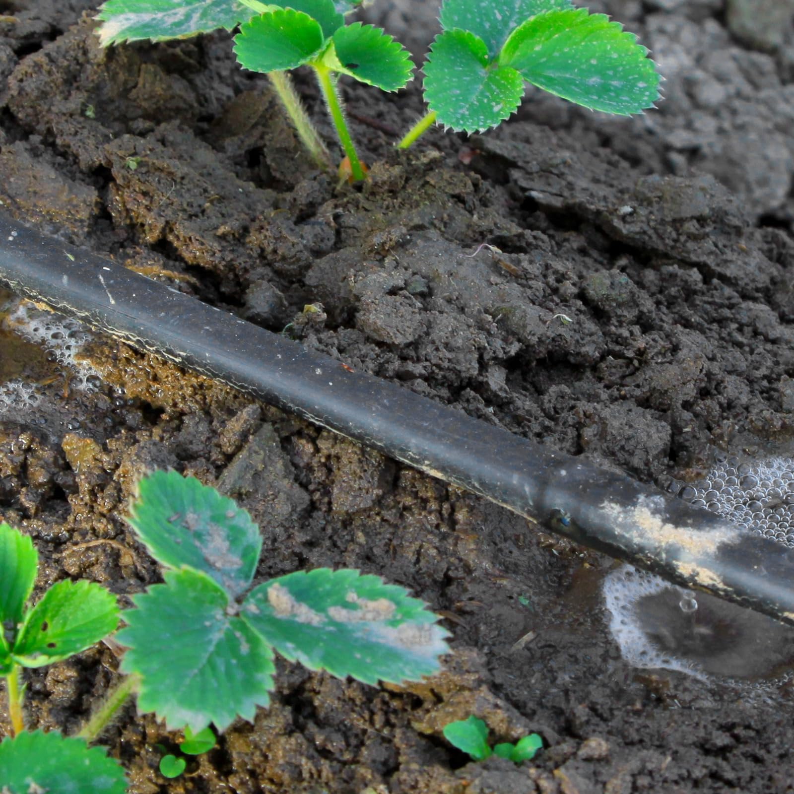 Treela drip tape across terrace garden and lawn irrigation