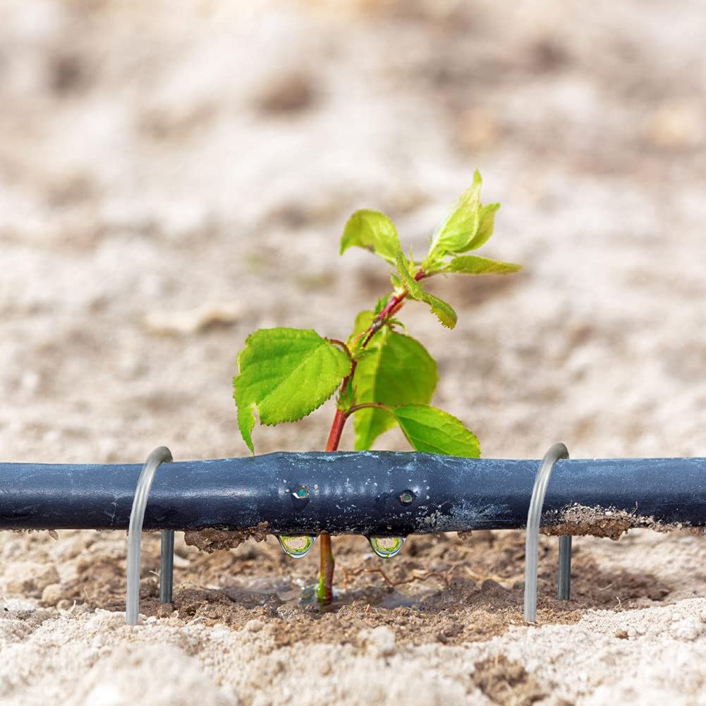 TreeLen anti-rust galvanized stakes secure frost blankets and weed barriers.