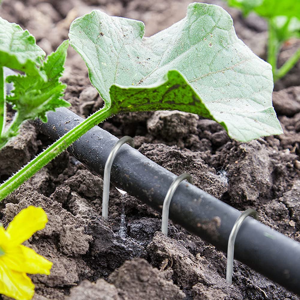 TreeLen heavy-duty stakes withstand strong winds for dependable outdoor support.