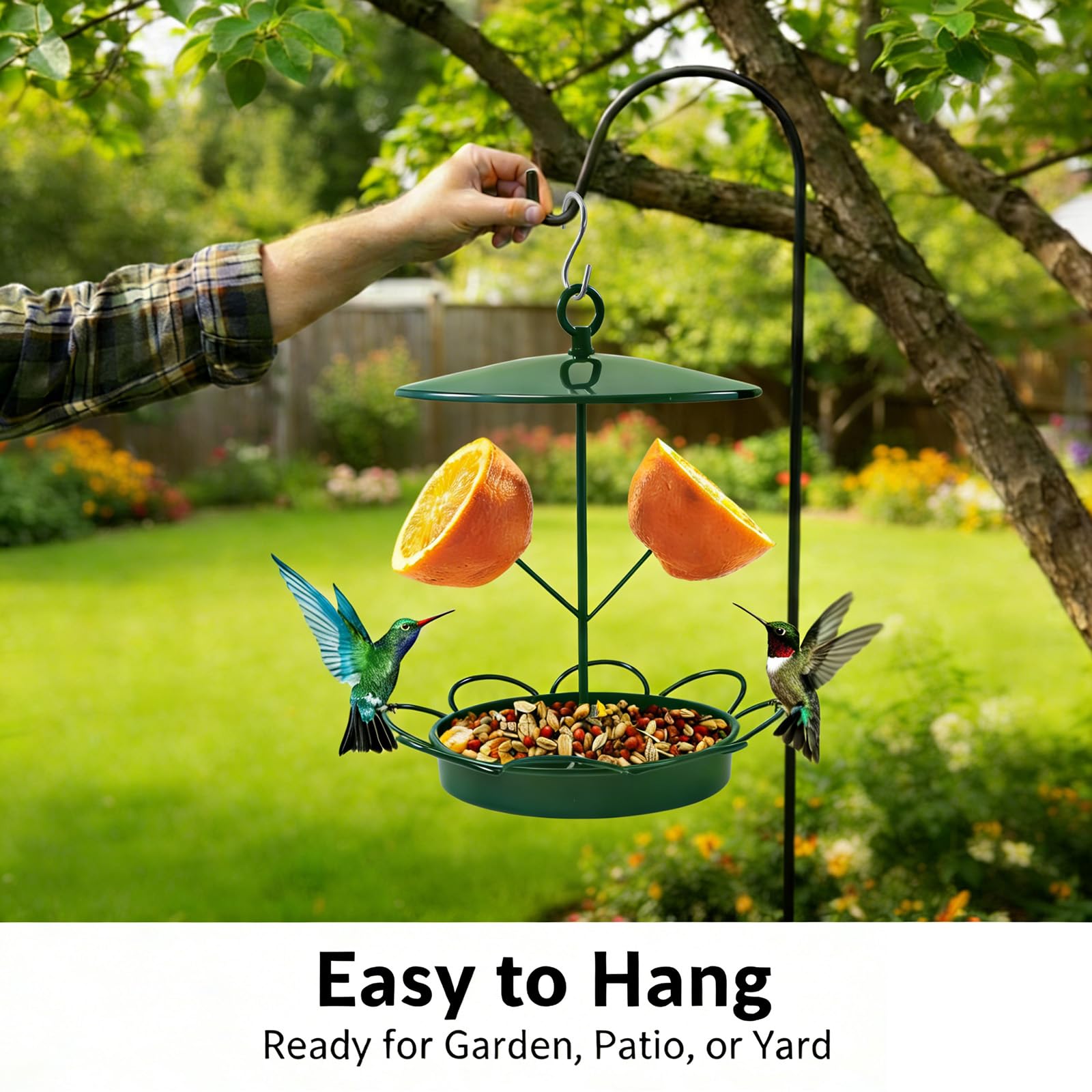 TREELYWOOD attracts wild birds with a versatile, species-friendly design.