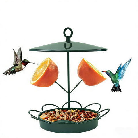 TREELYWOOD outdoor-squirrel-proof bird feeder keeps seeds safe for wild birds.