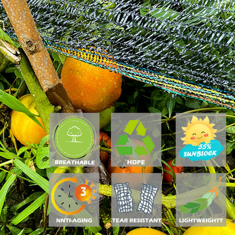 Treevex shade mesh provides UV protection for vibrant flowering beds.