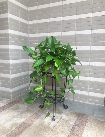 TREEZITEK anti-rust coating makes it suitable for indoor outdoor use
