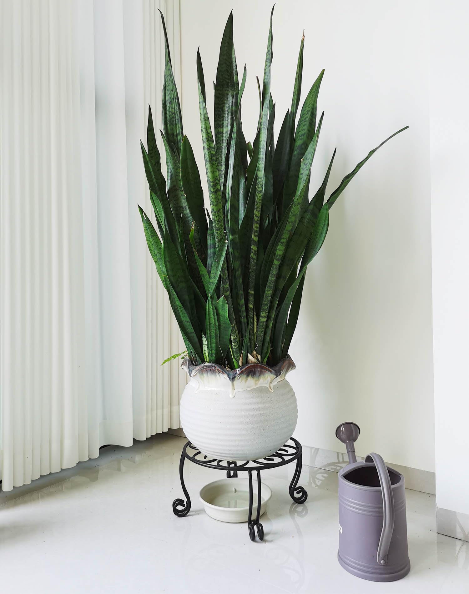 TREEZITEK round black iron stand suits outdoor and indoor setups.