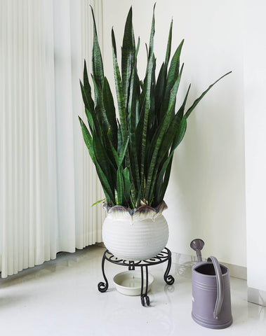TREEZITEK round black iron stand suits outdoor and indoor setups.