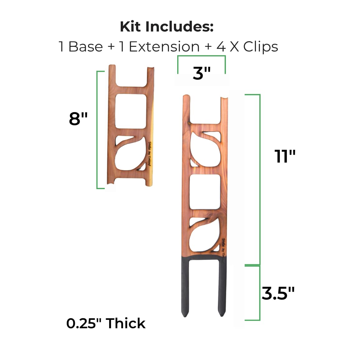 Modular design demonstrates scalable climbing structure for growing plants.
