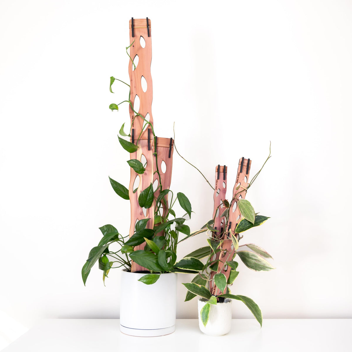 Treleaf Zella Grande base unit supports vertical growth with natural cedar.