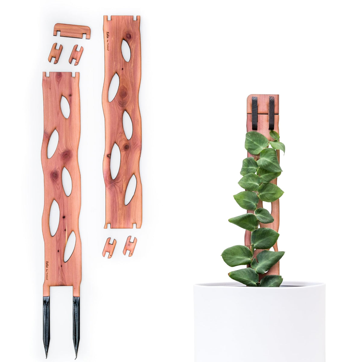 Treleaf Zella base unit showing sturdy support for climbing vines