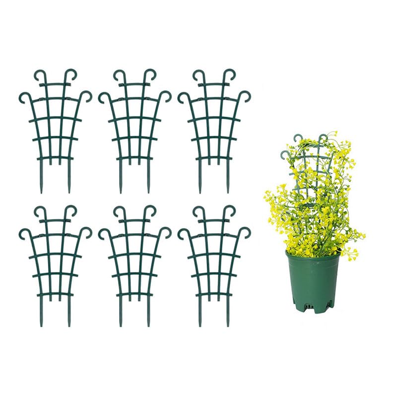 Trellis for potted plants provides sturdy support for climbing vines indoors.