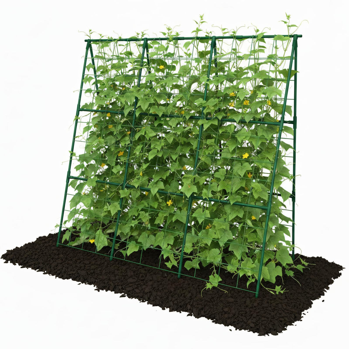 Trellume cucumber trellis assembly for quick, sturdy vertical support