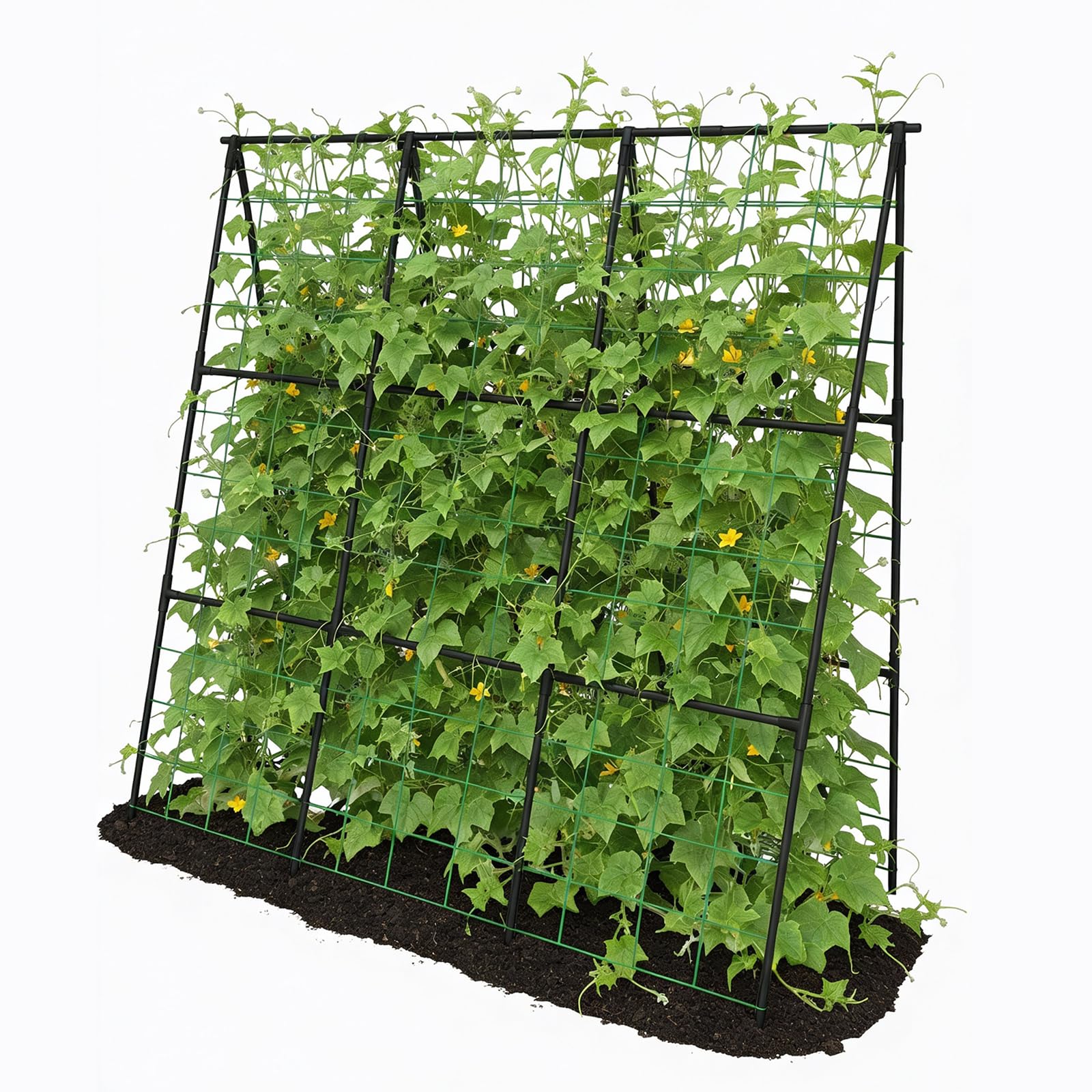 Trellume Cucumber Trellis front view shows sturdy rust-resistant frame for climbing cucumbers