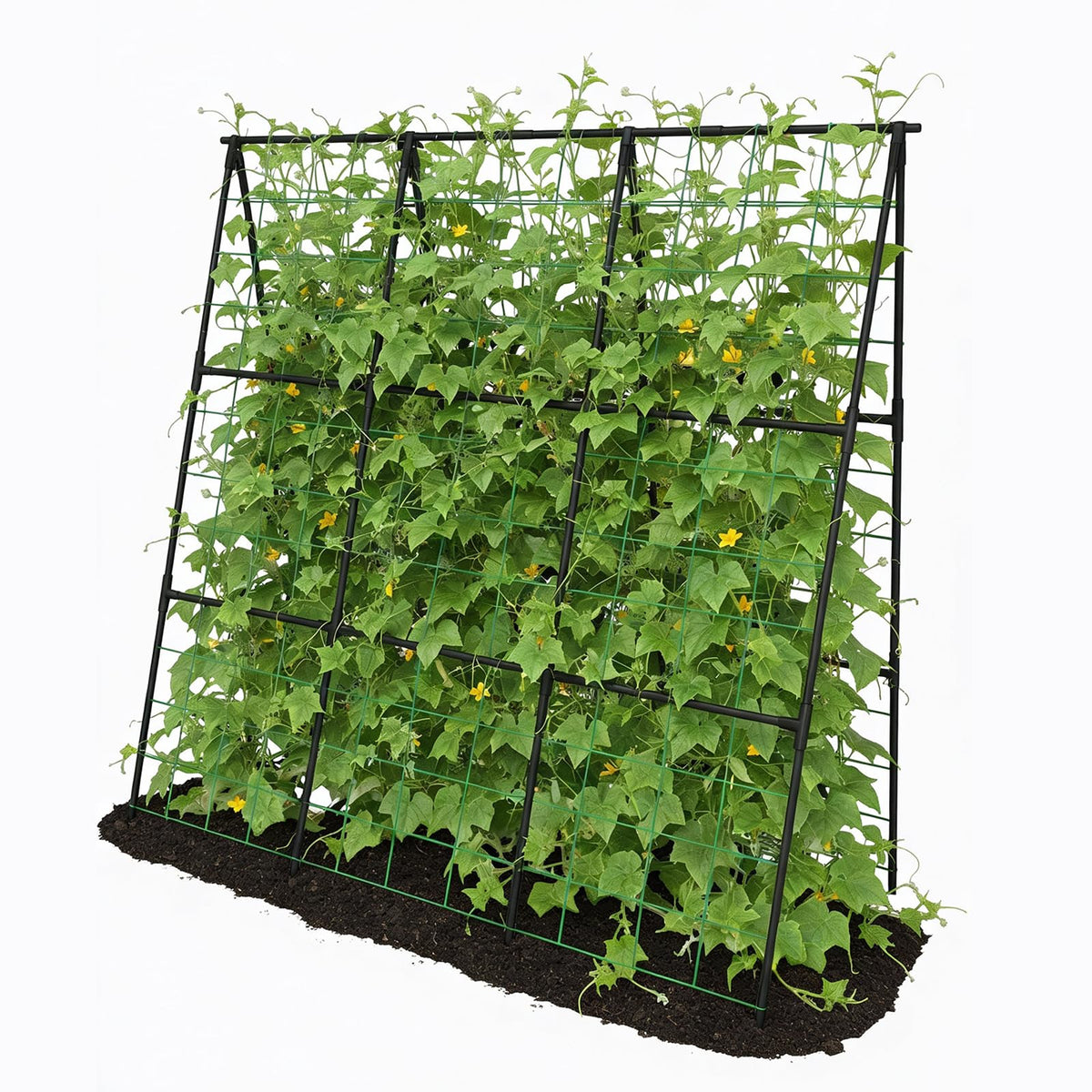 Trellume Cucumber Trellis front view shows sturdy rust-resistant frame for climbing cucumbers