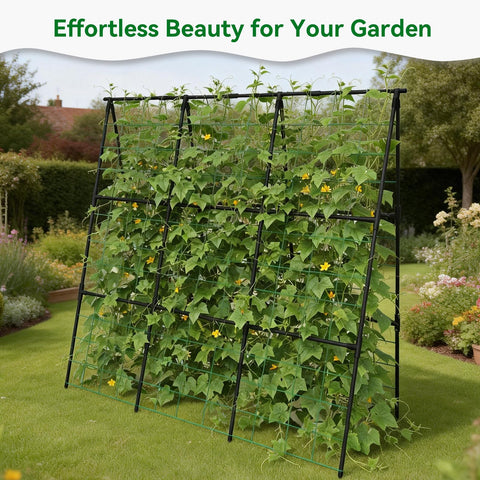 Trellume Cucumber Trellis stable structure supporting cucumbers and morning glories