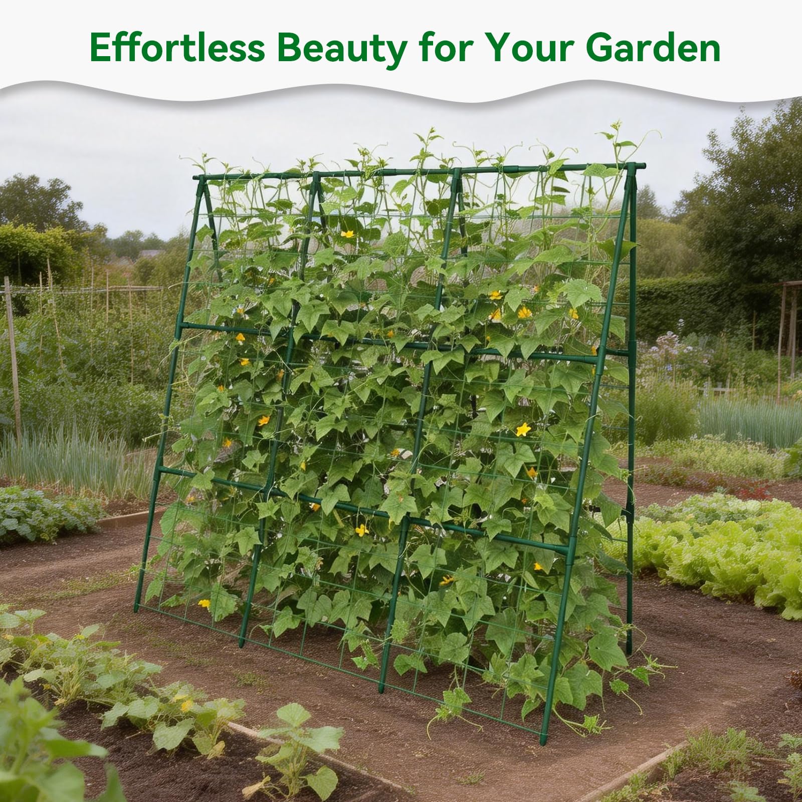 Versatile Trellume support for morning glories and vegetables in gardens