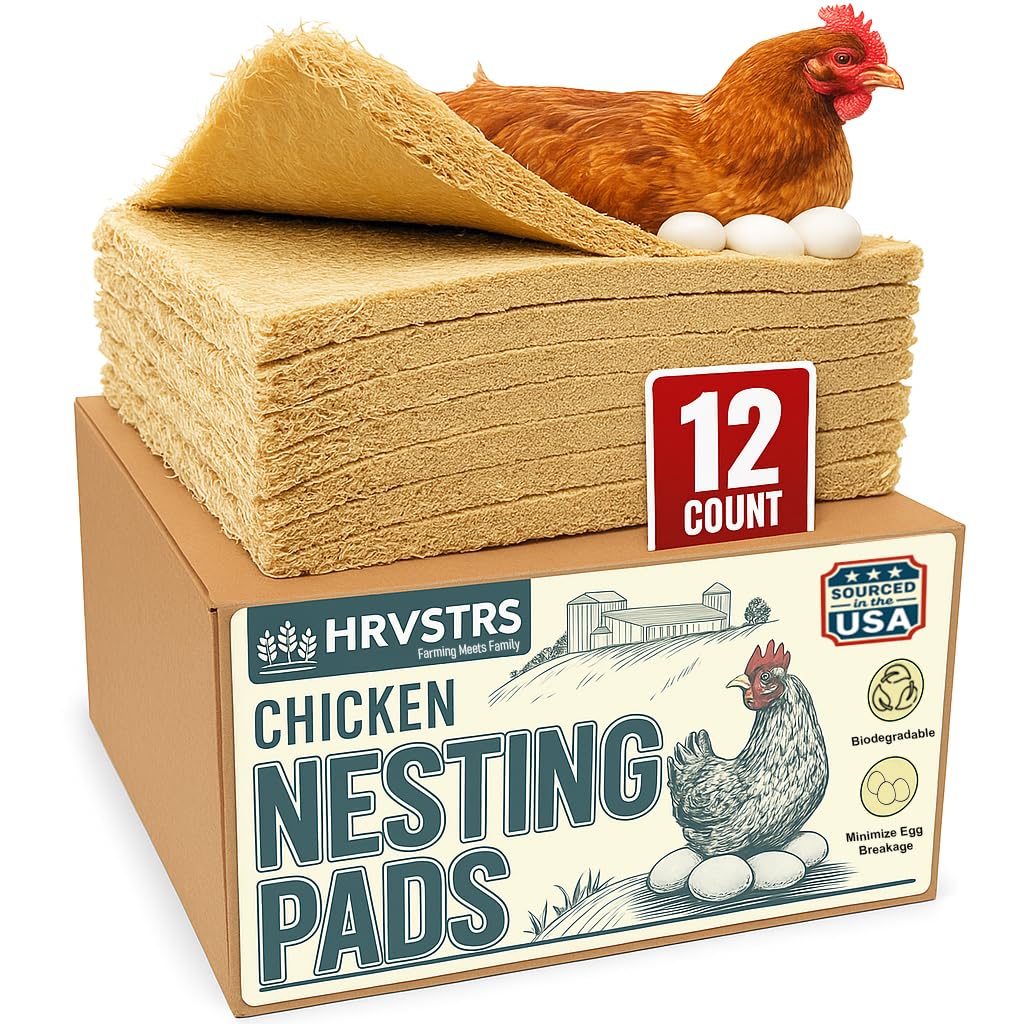 Trendiees chicken nesting pad 13x13 fits standard boxes for clean, organized egg collection.