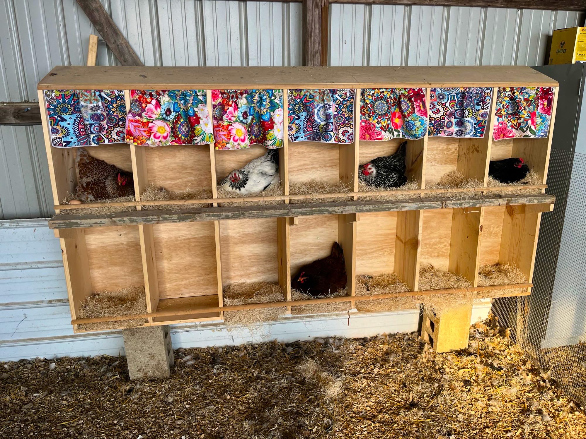 Trendiees dust-free bedding highlights reduced dust during coop maintenance.