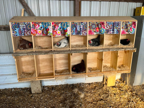Trendiees dust-free bedding highlights reduced dust during coop maintenance.