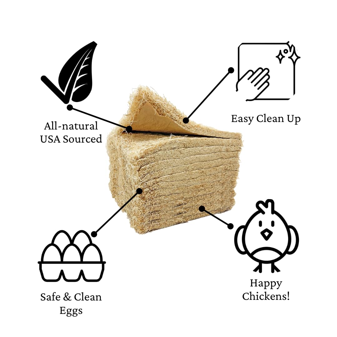 Trendiees egg-protection cushion image emphasizes cushioned 13x13 surface for gentle egg support.