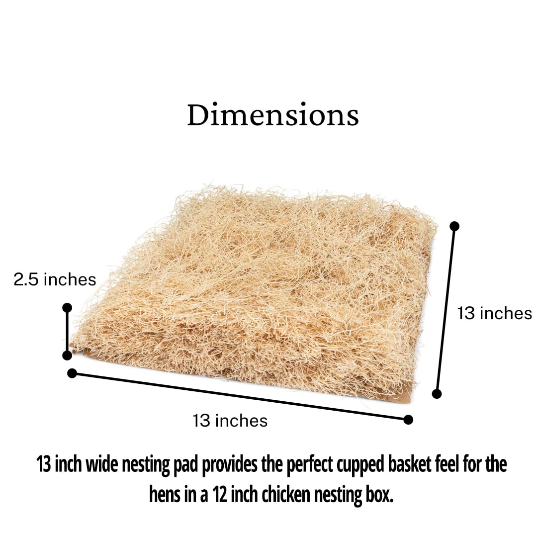 Trendiees nesting pad in coop demonstrates quick setup and tidy cleanup.