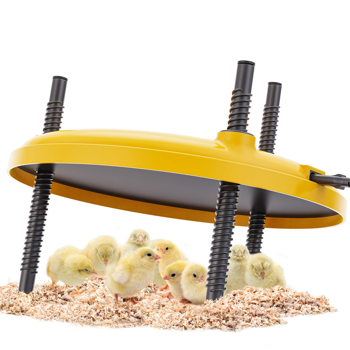 TRIOCOTTAGE Chick Heat Plate top view for compact warmth in brooders.