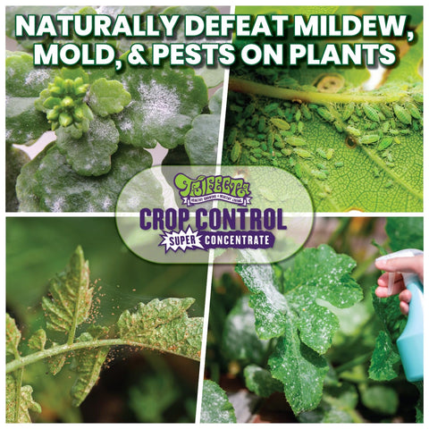 Trifecta Crop Control spray mist enables quick application on leaves
