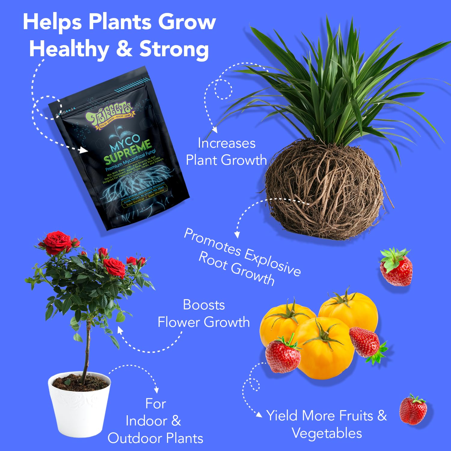 Trifecta Myco Supreme spore closeup highlights ultra potent mycorrhizae for healthy growth.