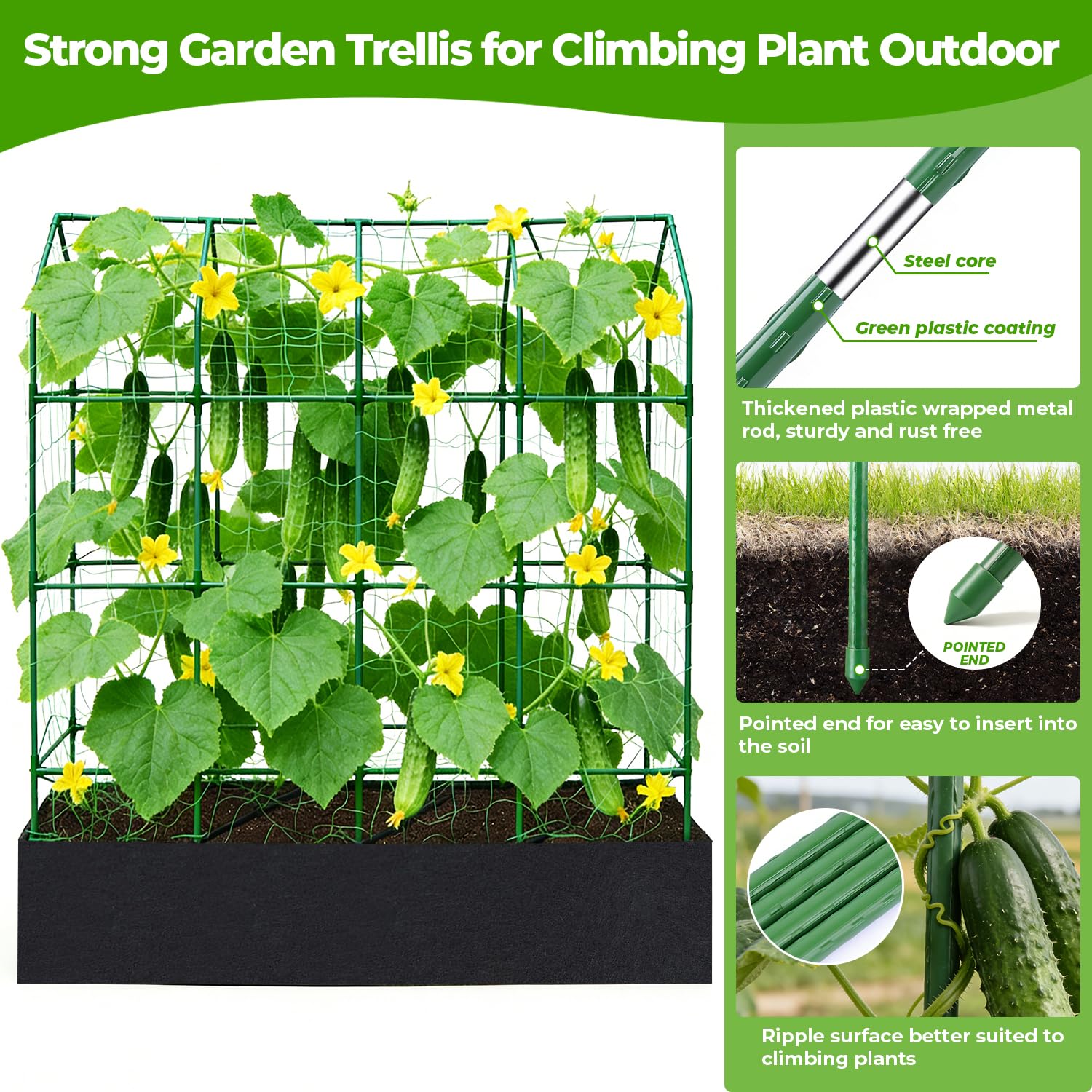 TrigenTeels arch lattice top ensures balanced sunlight and improved airflow for healthy leaves.