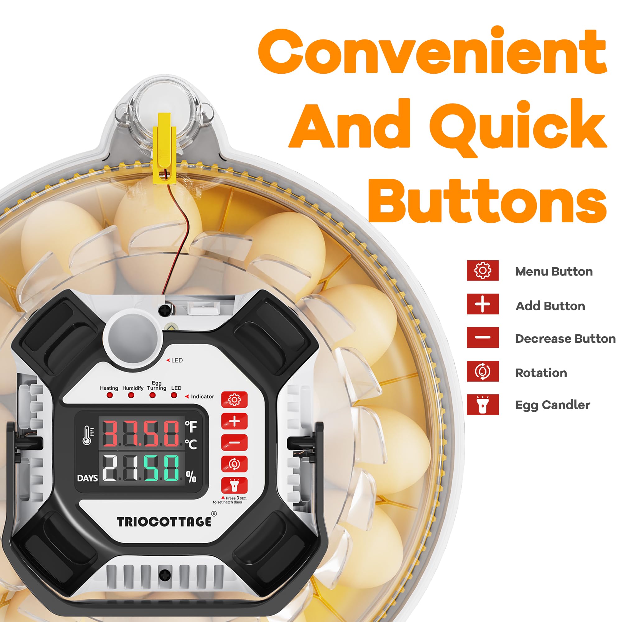 TRIOCOTTAGE incubator-automatic-egg-turning keeps eggs turning for uniform heating.