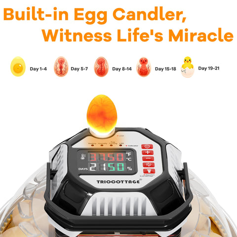 TRIOCOTTAGE incubator-digital-temp-humidity-control provides precise climate for reliable hatch outcomes.
