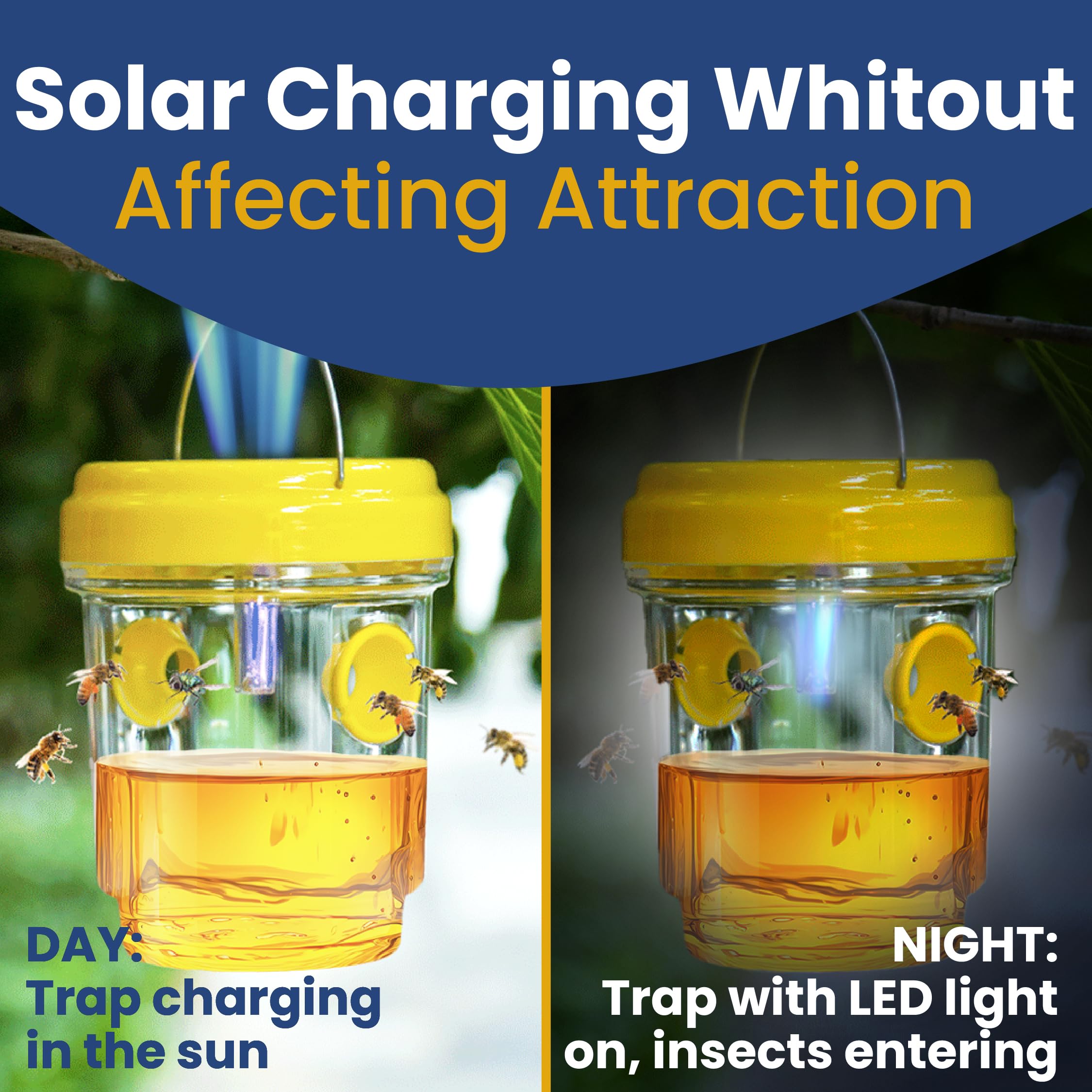 Reusable TriskelBlue wasp trap design for multiple seasons of outdoor use