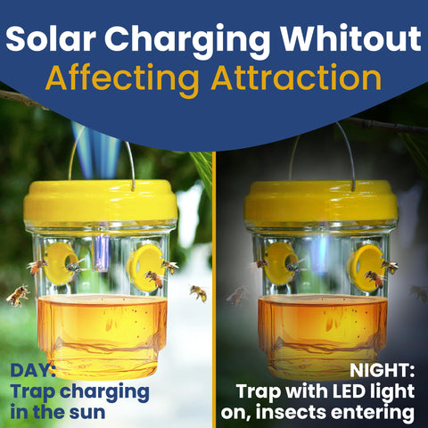 Reusable TriskelBlue wasp trap design for multiple seasons of outdoor use