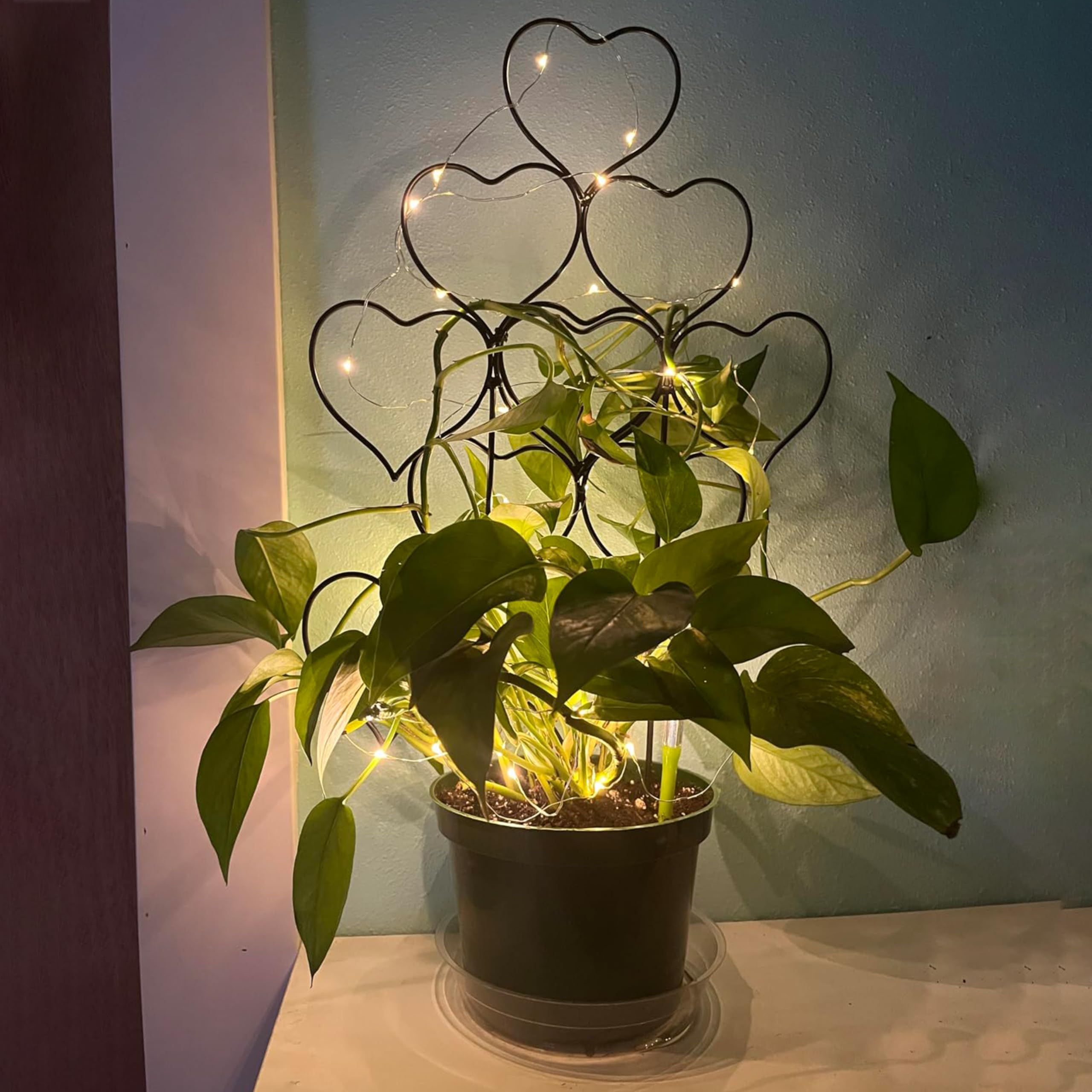 Trlzey weather-resistant iron trellis withstands year-round use