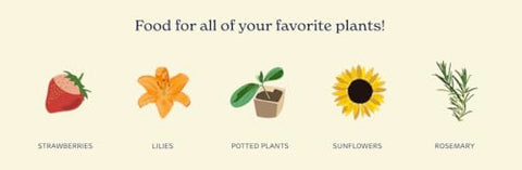 True Organic All Purpose Plant Food bag label close-up, nutrients clearly displayed for healthy soil.