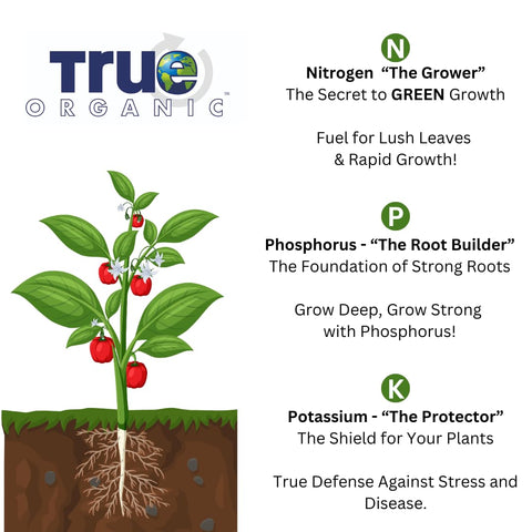 True Organic Bone Meal with soil sample, demonstrating consistent calcium and nutrient delivery.