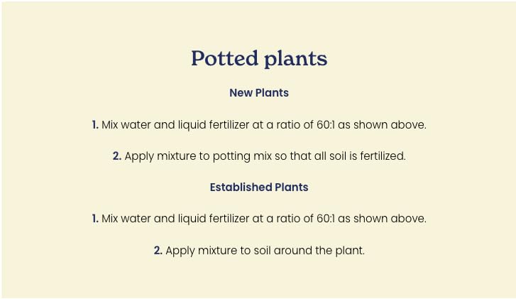 True Organic fertilizer used in a container garden for vibrant vegetables.