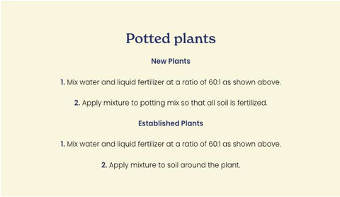 True Organic fertilizer used in a container garden for vibrant vegetables.