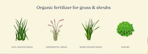 True Organic Liquid Lawn Food label close-up highlighting 1% iron and 4% nitrogen for color.
