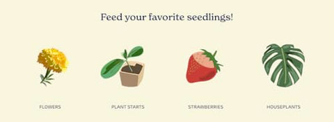 True Organic Liquid Preplant Starter label emphasizes easy application every two weeks.