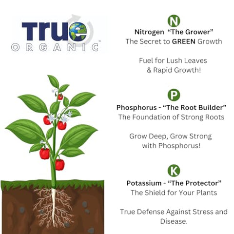 True Organic Liquid Preplant Starter around tender seedlings promotes establishment.