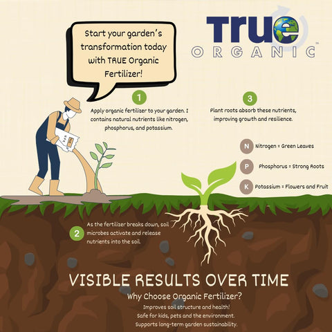 Pouring True Organic Liquid Tomato & Vegetable Food near roots supports nutrient uptake.