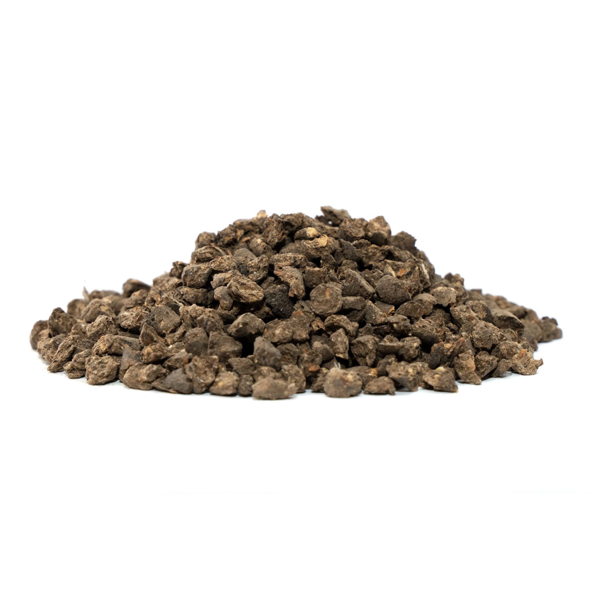 Soil rich with microbial activity after adding True Organic Seabird Guano.