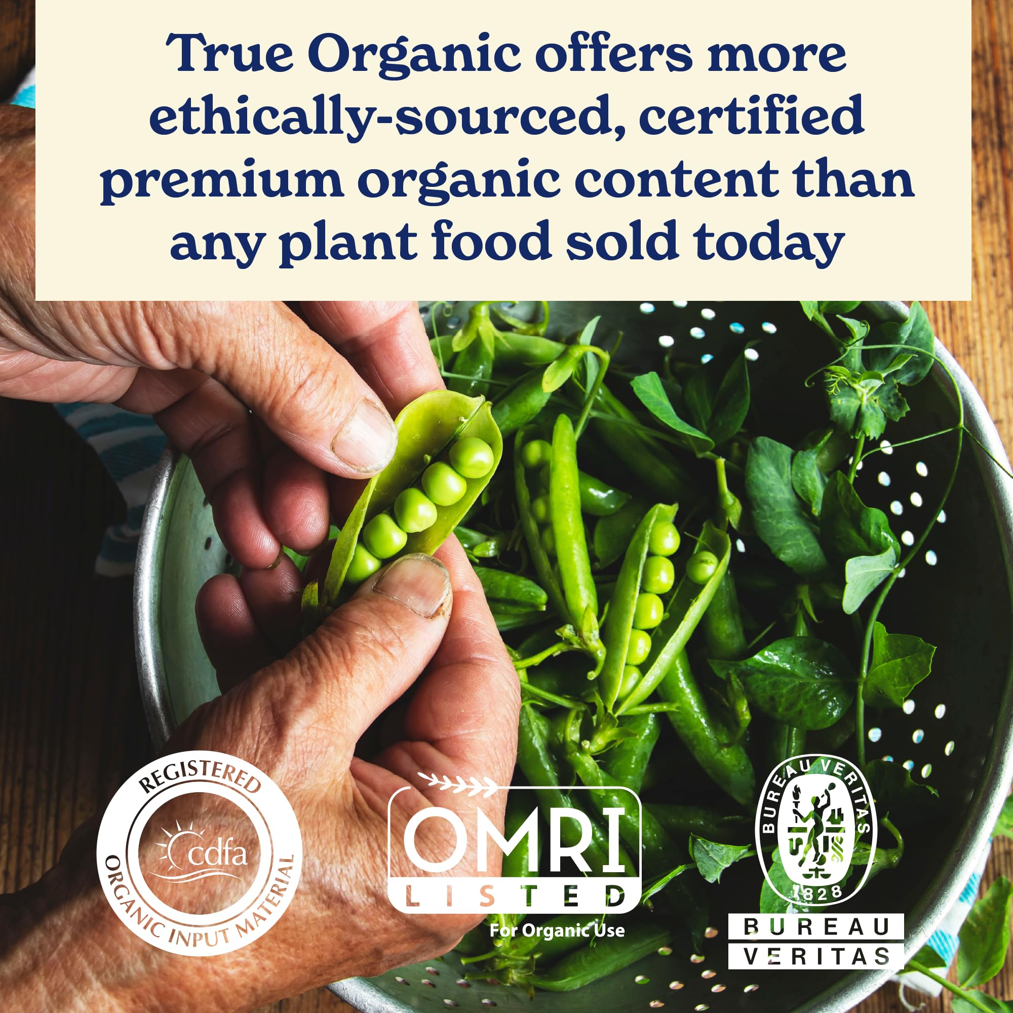 True Organic Soil Acidifier bloom image conveys healthier blooms under acidic soil