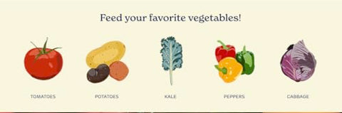 Close-up of True Organic label highlighting organic nutrients for plants